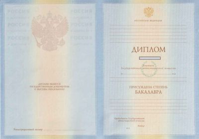 Диплом бакалавра 2009-2010