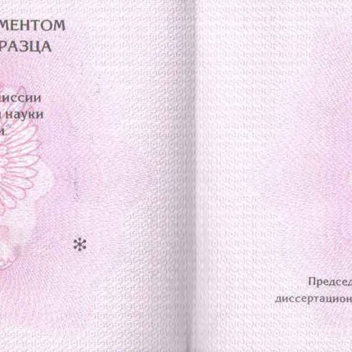 Диплом кандидата наук 2006-2012